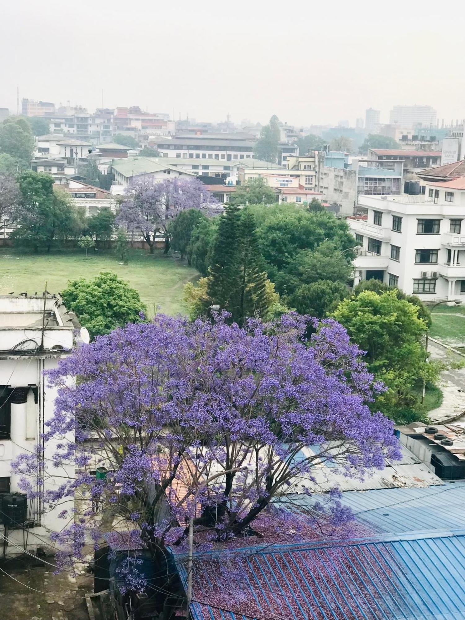 Hotel Maya Boutique And Apartment, Thamel Kathmandu Exteriör bild